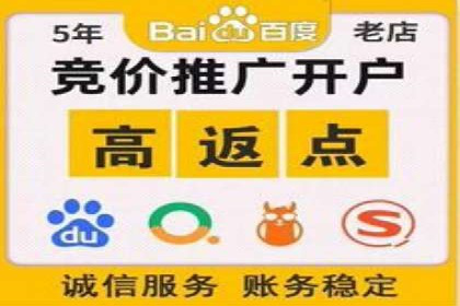 百度竞价代理全攻略：成功案例分享